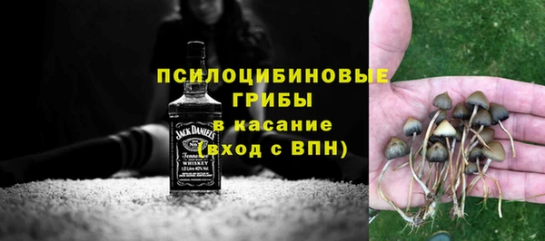 spice Губаха