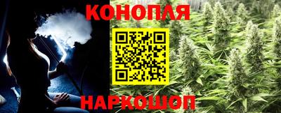 молекула духа Гатчина
