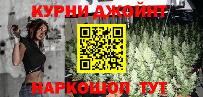 прущие крисы Гай