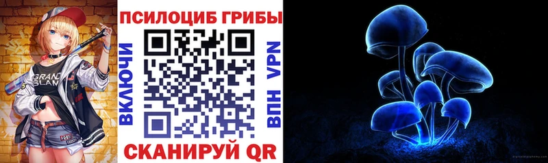 Псилоцибиновые грибы Psilocybe  магазин  наркотиков  Сафоново 