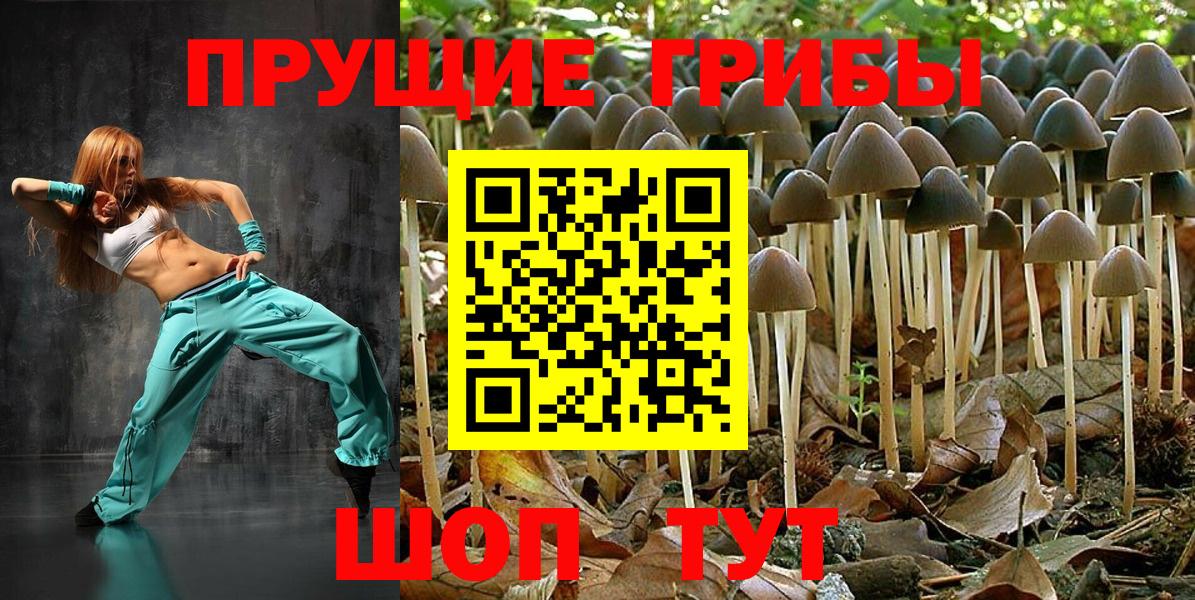 Псилоцибиновые грибы ЛСД Сафоново
