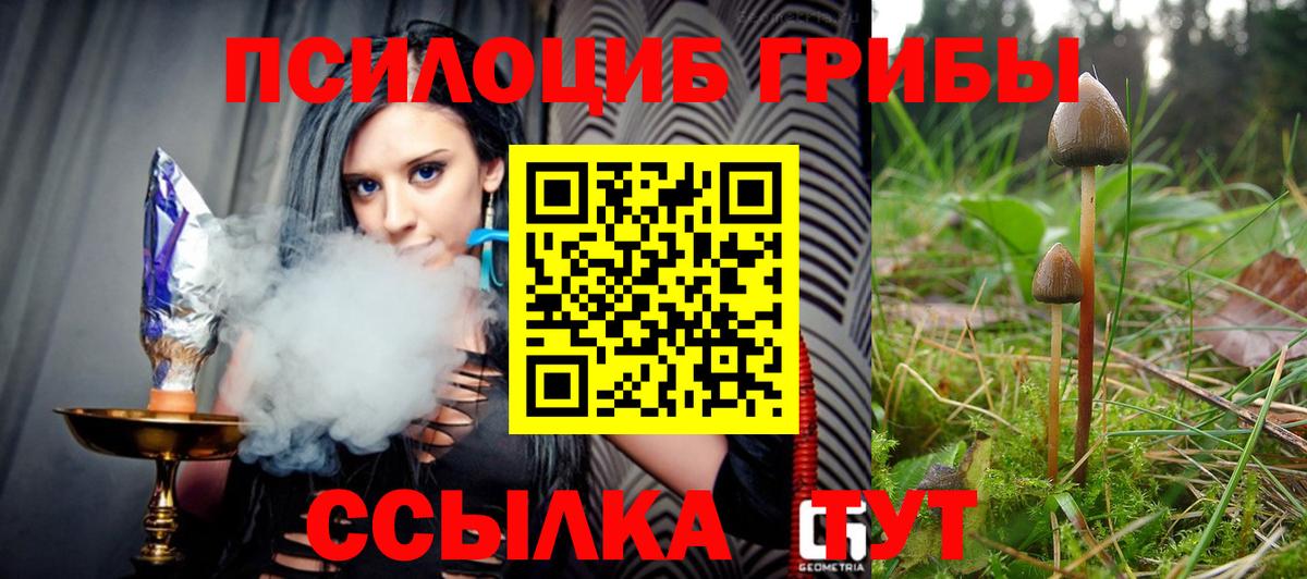 Галлюциногенные грибы мухоморы  Псилоцибиновые грибы Psilocybe  Сафоново  что такое наркотик  Вход с VPN 